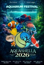 Aquashella 2026.jpg