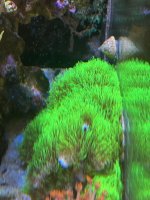 IMG_9517.jpeg