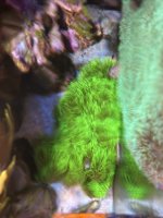 IMG_9516.jpeg