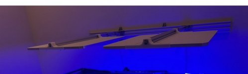 IMG_7458.jpeg