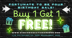 Buy 1 Get 1.png