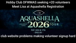 Aquashella 2026 need volunteers landscape.jpg
