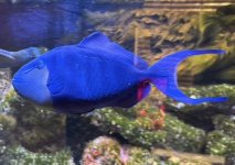 IMG_4572.jpeg