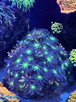 IMG_9471.jpeg