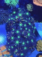 IMG_9472.jpeg