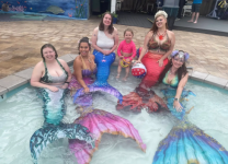 Plano be a mermaid - small graphic.png