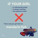mandarin.jpg