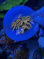 IMG_8662.jpeg