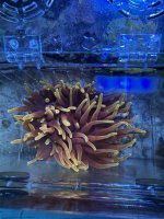 IMG_7601.jpeg