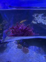 IMG_1706.jpeg