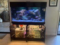 IMG_2088.JPEG
