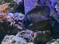 IMG_2048.JPEG