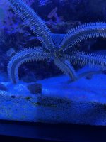 IMG_5797.JPEG