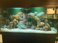 IMG_2027.JPEG