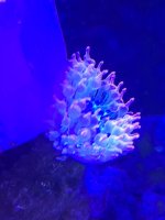 20260824_162504.jpg