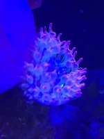 20260824_162502.jpg