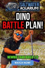 Dino Battle Plan.jpg Dino Battle Plan.jpg