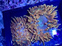 IMG_5573.jpeg