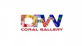 DFW Coral Gallery.jpg