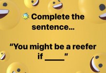 You Might Be A Reefer If You - fill in the blank.jpeg