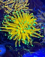 1DB95CDC-6693-4C18-AA2D-F3540D3D9A2A.jpeg