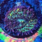 A8DA4EC5-5E79-405C-964B-1477DFF8D92D.jpeg