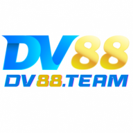 dv88team