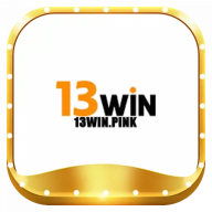 13winpink