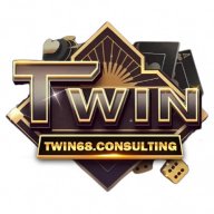 twin68consulting