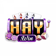 haywin88itcom