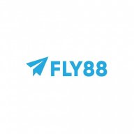 fly888y